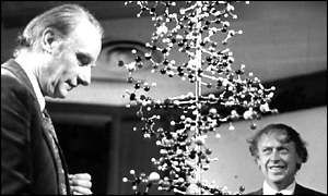 Фрэнсис Крик и Джеймс Уотсон возле модели ДНК.