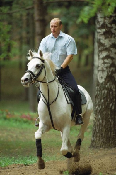 Putin Pale rider